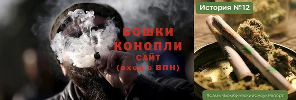 молекула духа Заводоуковск