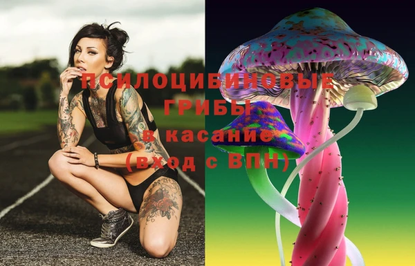 МДМА Заволжье