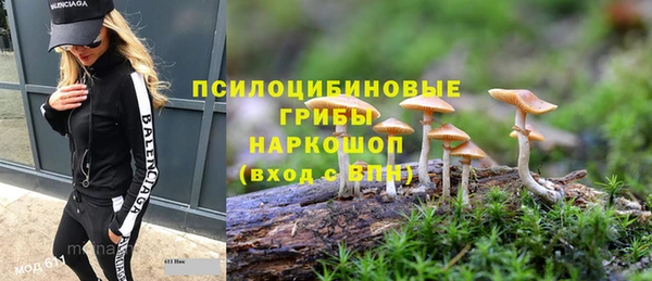 молекула духа Заводоуковск